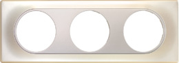 COMETE Plaque 3 postes TITANE