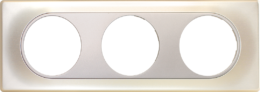 COMETE Plaque 3 postes TITANE