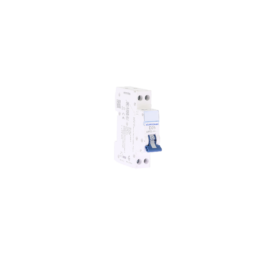 Disjoncteur 1P+N 25A courbe D connexion vis/vis  4,5kA NF