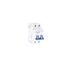 Disjoncteur 2P 63A courbe C connexion vis/vis 6kA NF